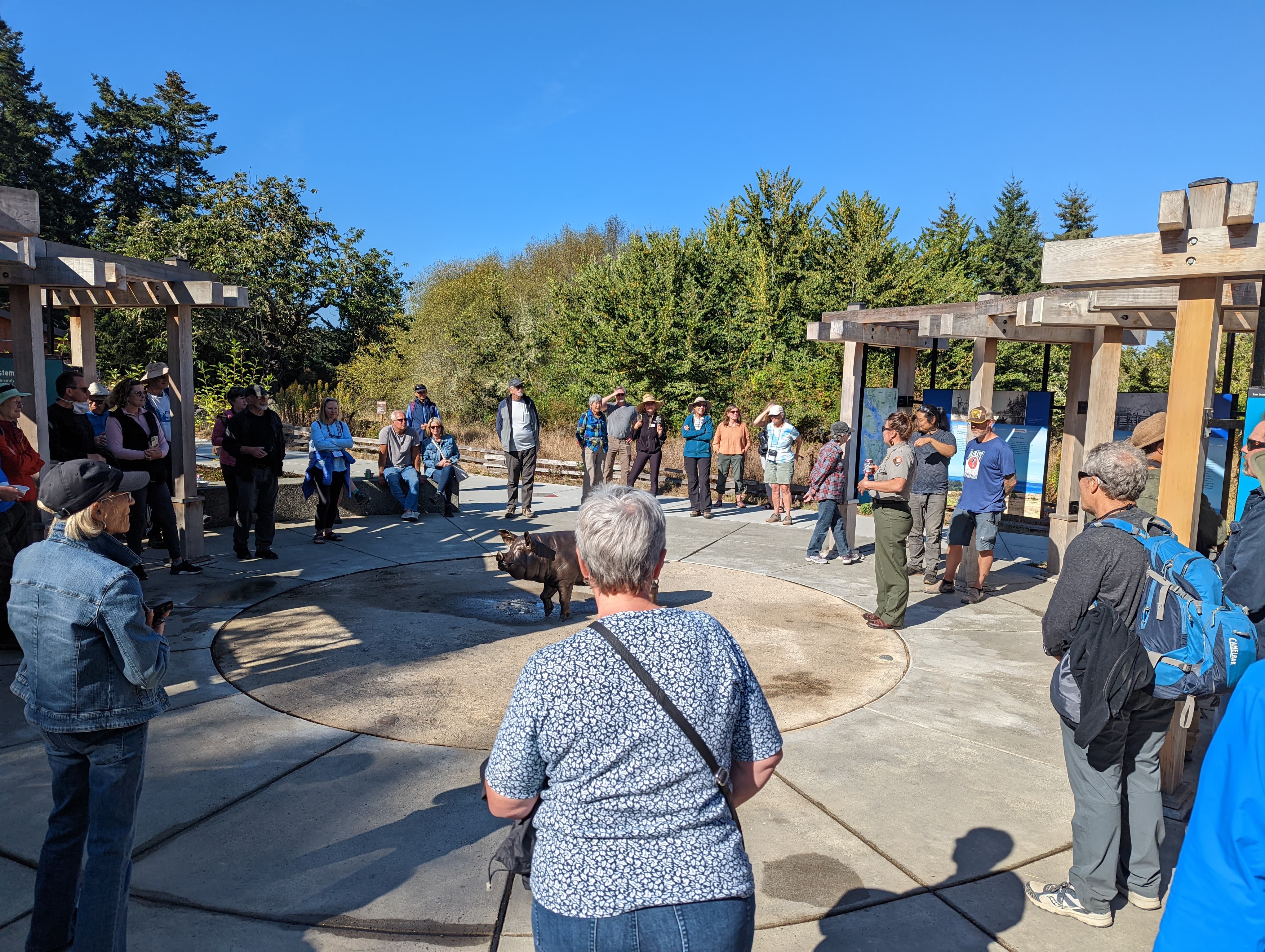 A group of people gather in an outdoor plaza