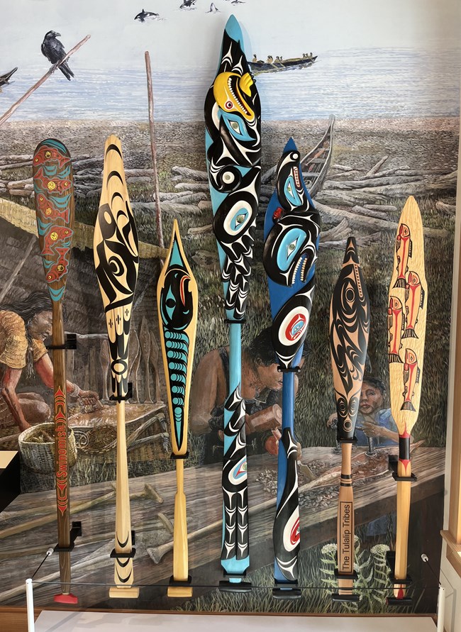 Tribal canoe paddles on display on a wall
