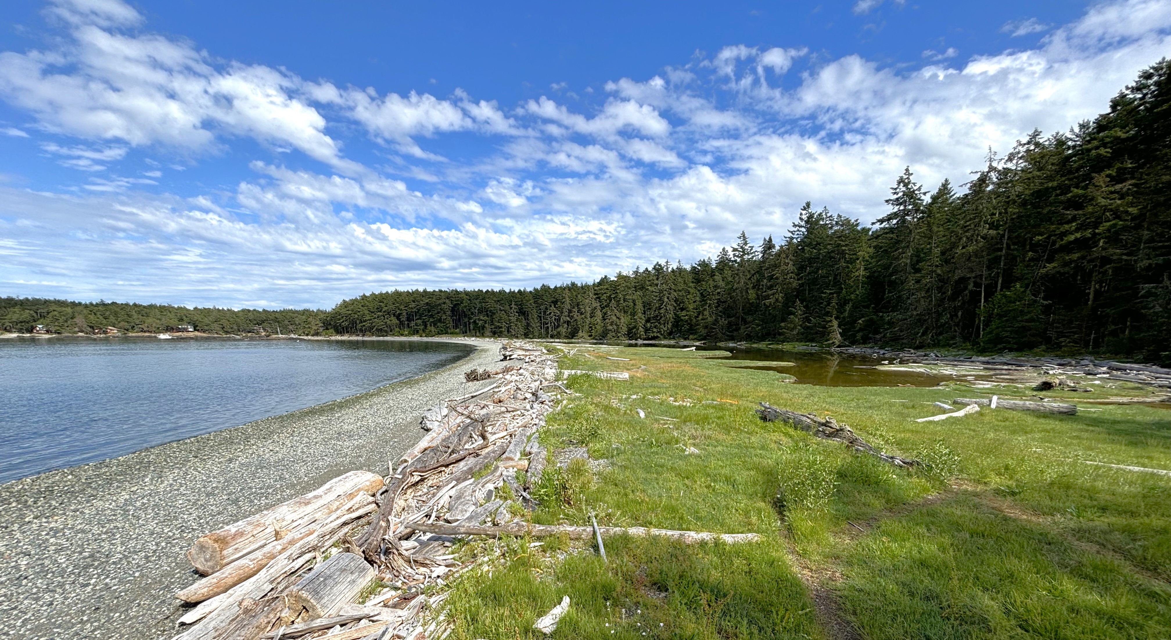 A coastal lagoon along a beach with a forest