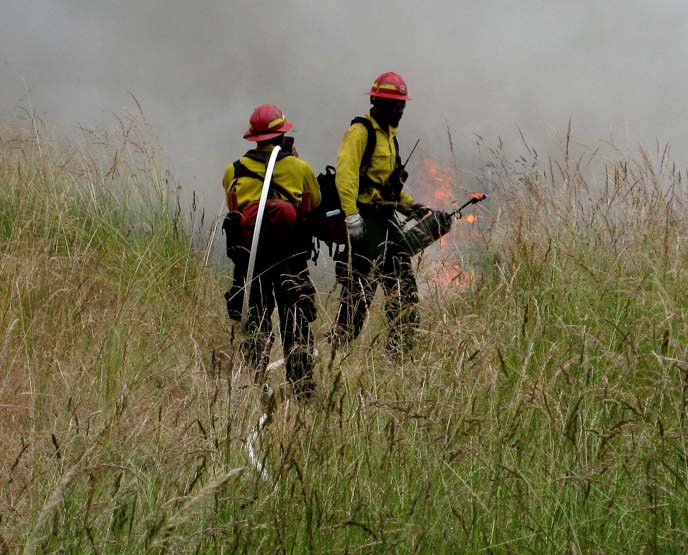 color photograph of two men in fire protective suits igniting a fire on a grassland landscape.