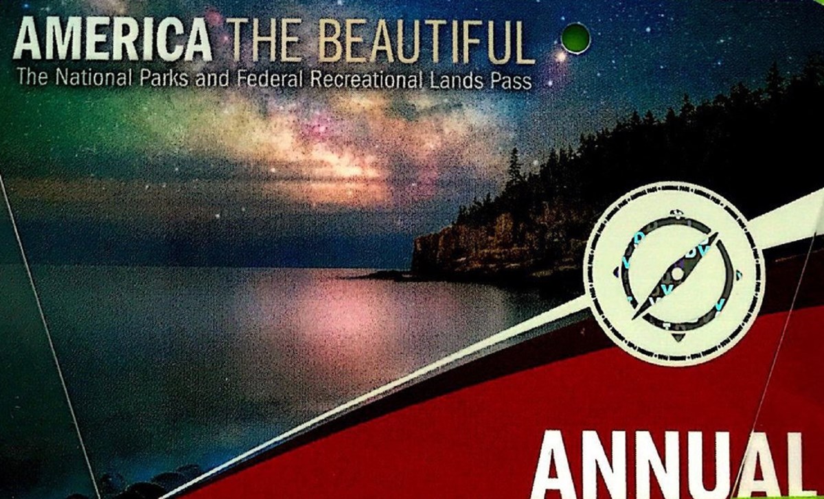 Night sky with galaxy colors over water and forest. Text reads: "America the beautiful" the national parks and federal recreational lands pass" "Annual"