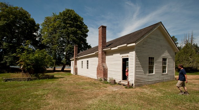 White building with a large tree next to it.