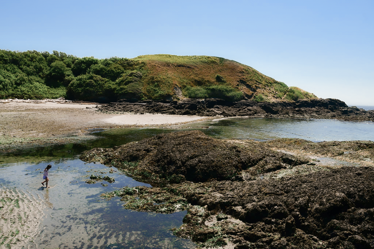 A sunny beach with a child looking at rocky tide pools