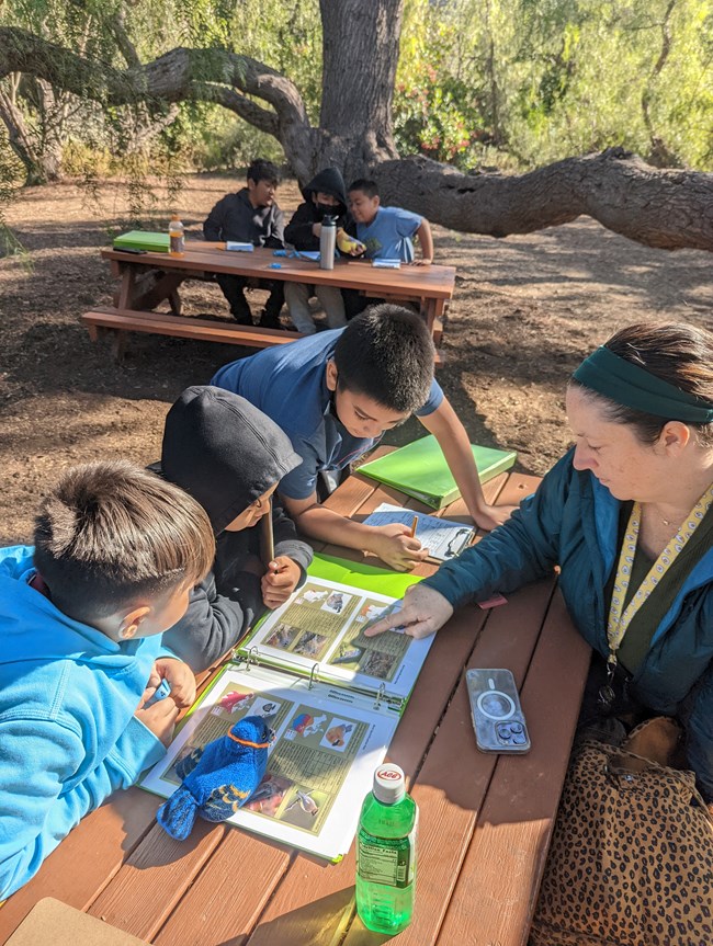 Teacher is sitting at a picnic table with three students, they are reading an activity guide about birds. They are in a tree grove with another group of students working behind them.