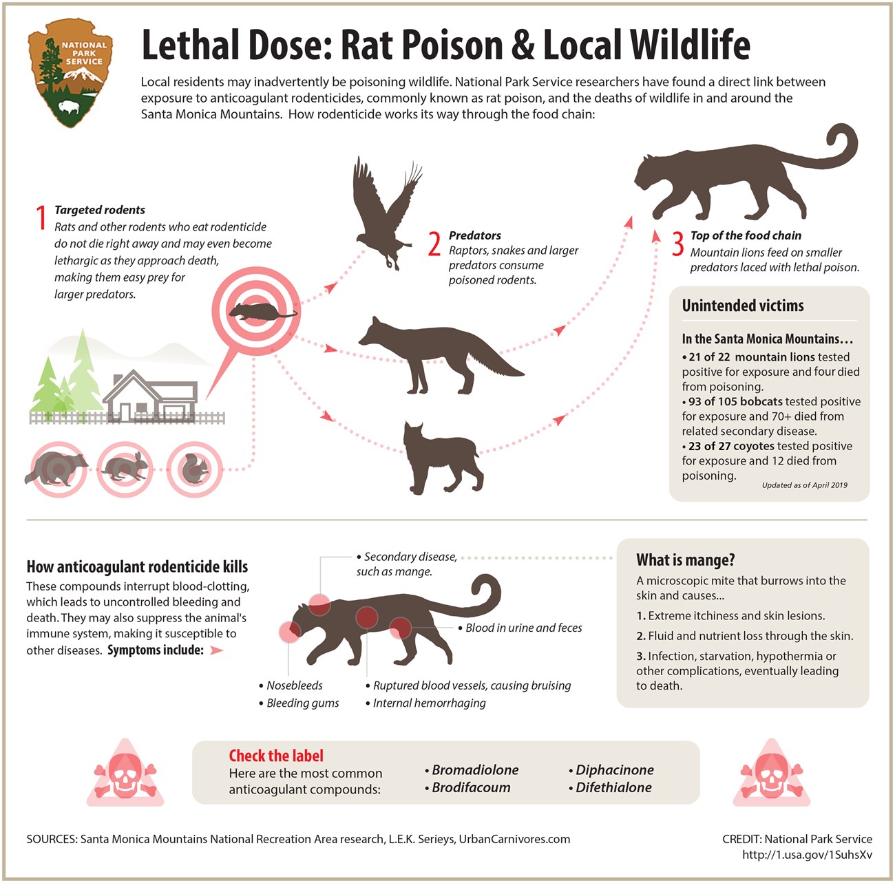 2019 rodenticide infographic