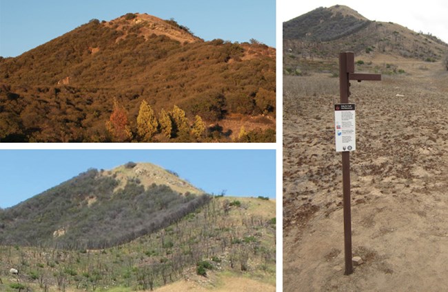 Two photographs show the vegetation before and after the Springs Fire. A third photo shows the photo stand.