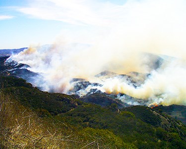 The 2006 Latigo Fire burns through chaparral in the Santa Monica Mountains.