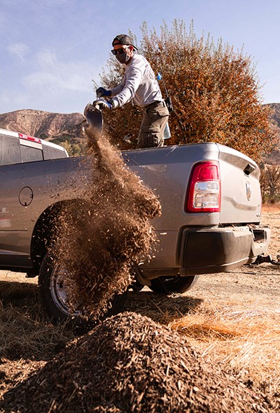 Young man standing in truck bed shoveling mulch onto ground.