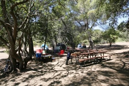 Tents and picnic tables are nestled among the trees in the Circle X Ranch Campground.