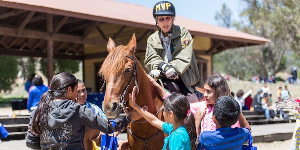 Children play with a horse while talking to a Mounted Volunteer Patrol member