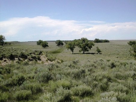 View of the Sand Creek Massacre site from Monument Hill in early summer.