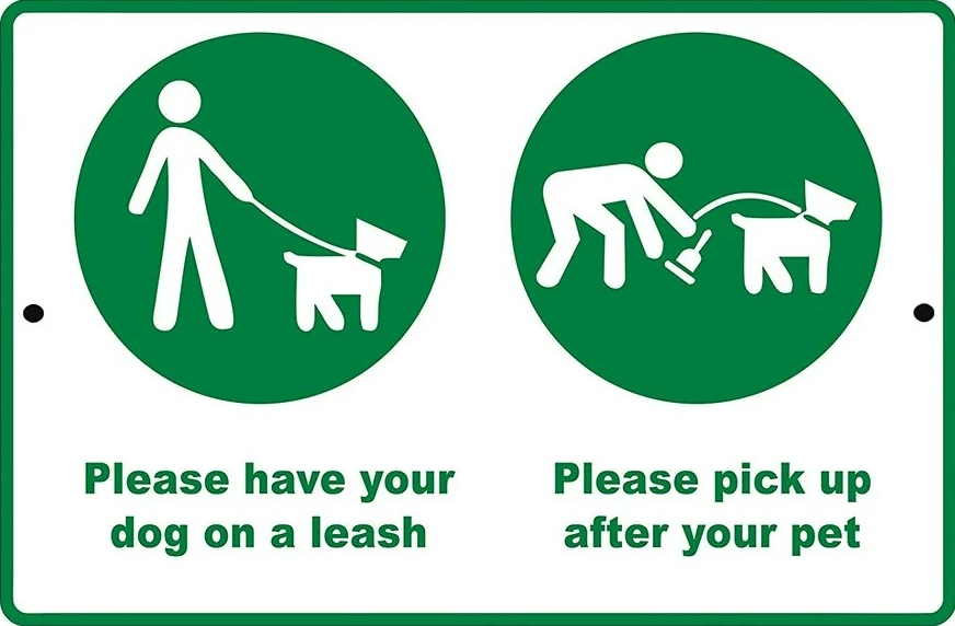 Dogs on leashes