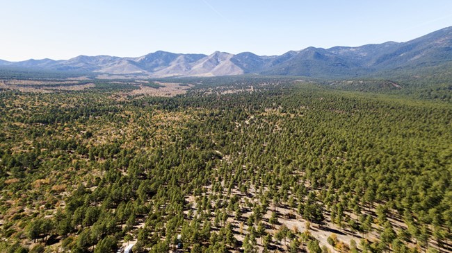 Manzano Mountain Range