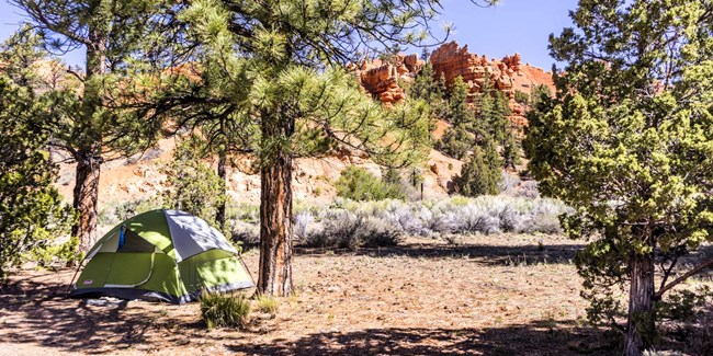 Red Canyon Campground