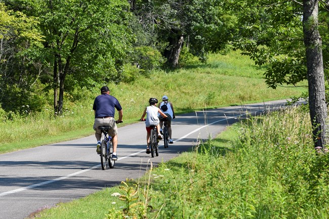Adult and children riding bikes on the tour road bike lane