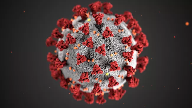 A small particle representing the COVID virus.