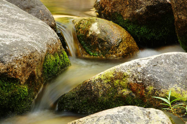 Water flows over rocks.