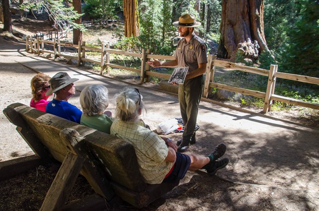 A ranger gives a program to the public in front of giant sequoias