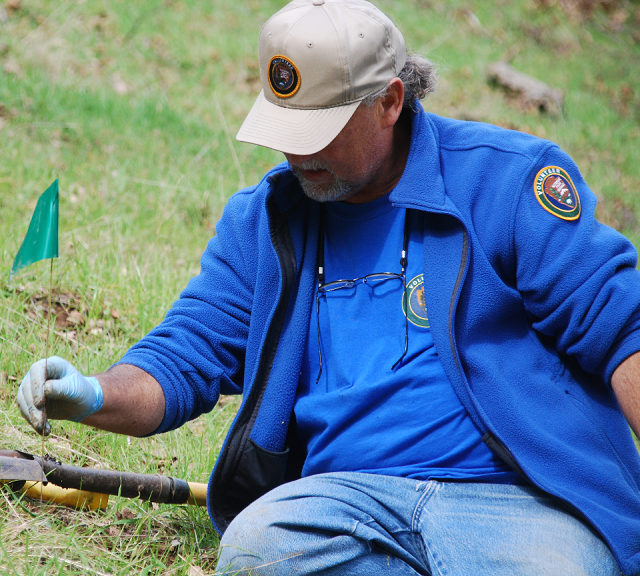 A volunteer flags a cultural resource