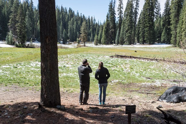 Two visitors observing a black bear from afar.