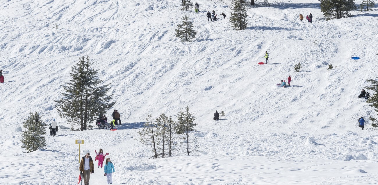 A snowy landscape full of visitors sledding and having fun.