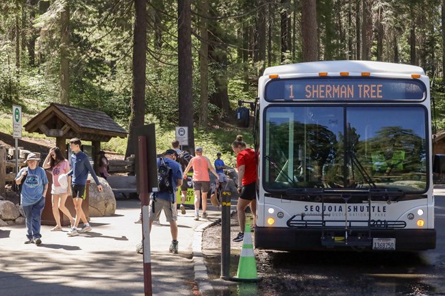 A group of people leave a shuttle titled Giant Forest Museum.