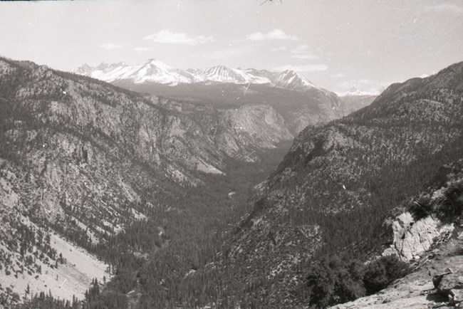 A deep canyon with snow capped mountains in the distance.