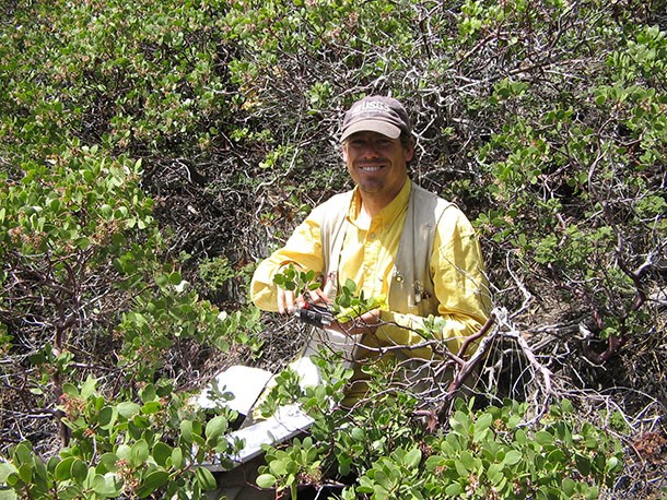 USGS biologist collects vegetation data, surrounded by manzanita shrubs.