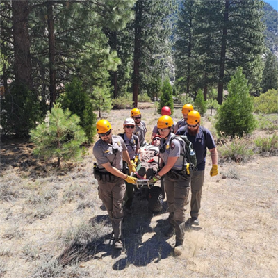 A group of park rangers carries a rescue litter near a forested area.