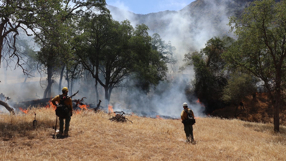 Fire fighters managing a prescribed burn in the foothills of Sequoia National Park