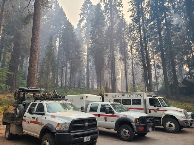 NPS fire trucks are parked in the Giant Forest during the 2021 KNP Complex Fire