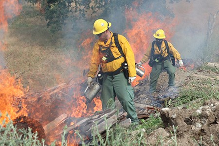 Firefighters use drip torches to strategically apply fire to the landscape.