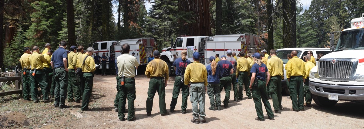 Firefighters gather for a briefing in a dirt parking lot under sequoia trees.