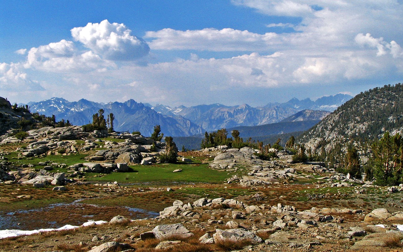 An alpine landscape with scattered rocks and trees, with mountains in the background
