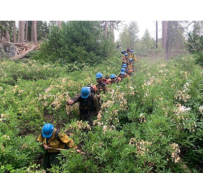 Firefighters hike with gear through brush