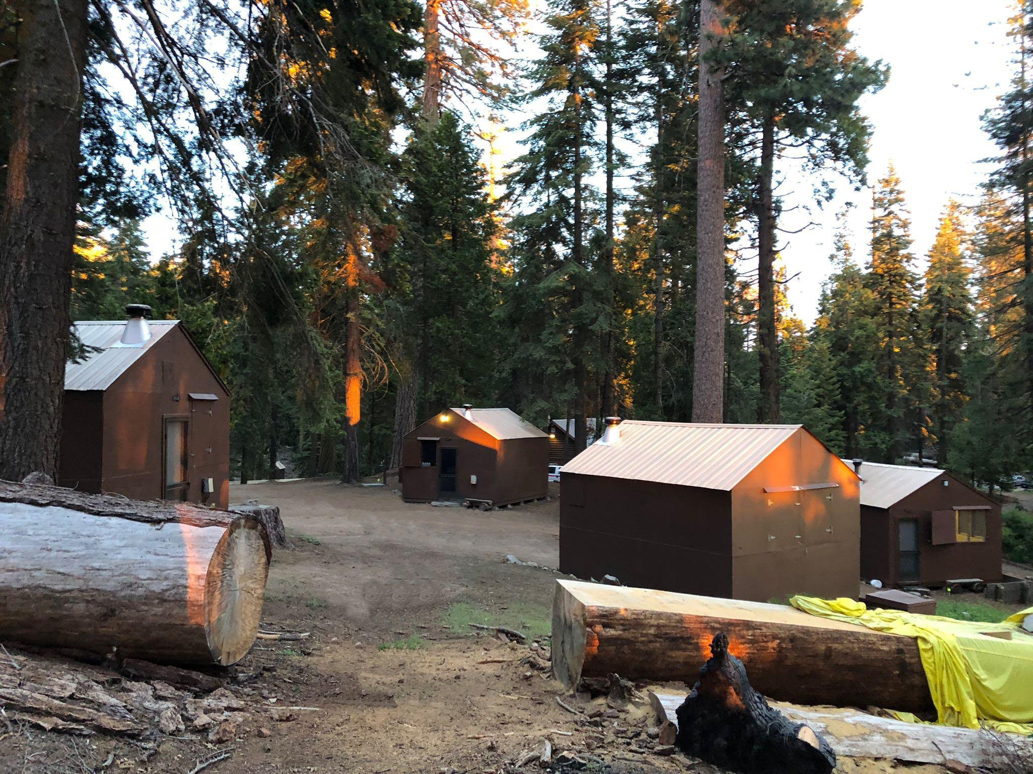 Rustic cabins in a forest