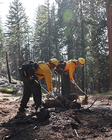Engine 51 firefighters use hand tools to extinguish an out-of-bounds campfire.
