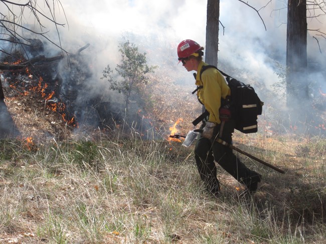 Woman carrying fire tool and wearing helmet and nomex fire clothes walks past burning vegetation.