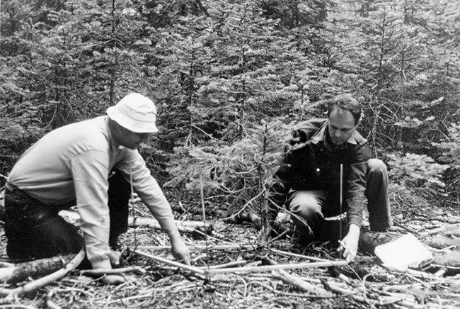 Two men kneel near a square study plot collecting fuels and vegetation data
