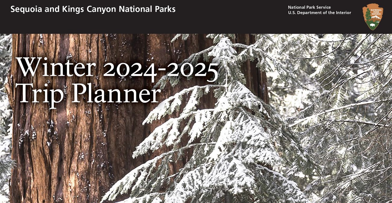 A black banner across the top says Sequoia and Kings Canyon National Parks. The main image has the words Winter 2024-2025 Trip Planner overlaid on a photo of a wide tree trunk, with small, snow-covered trees and branches on the right side of the image