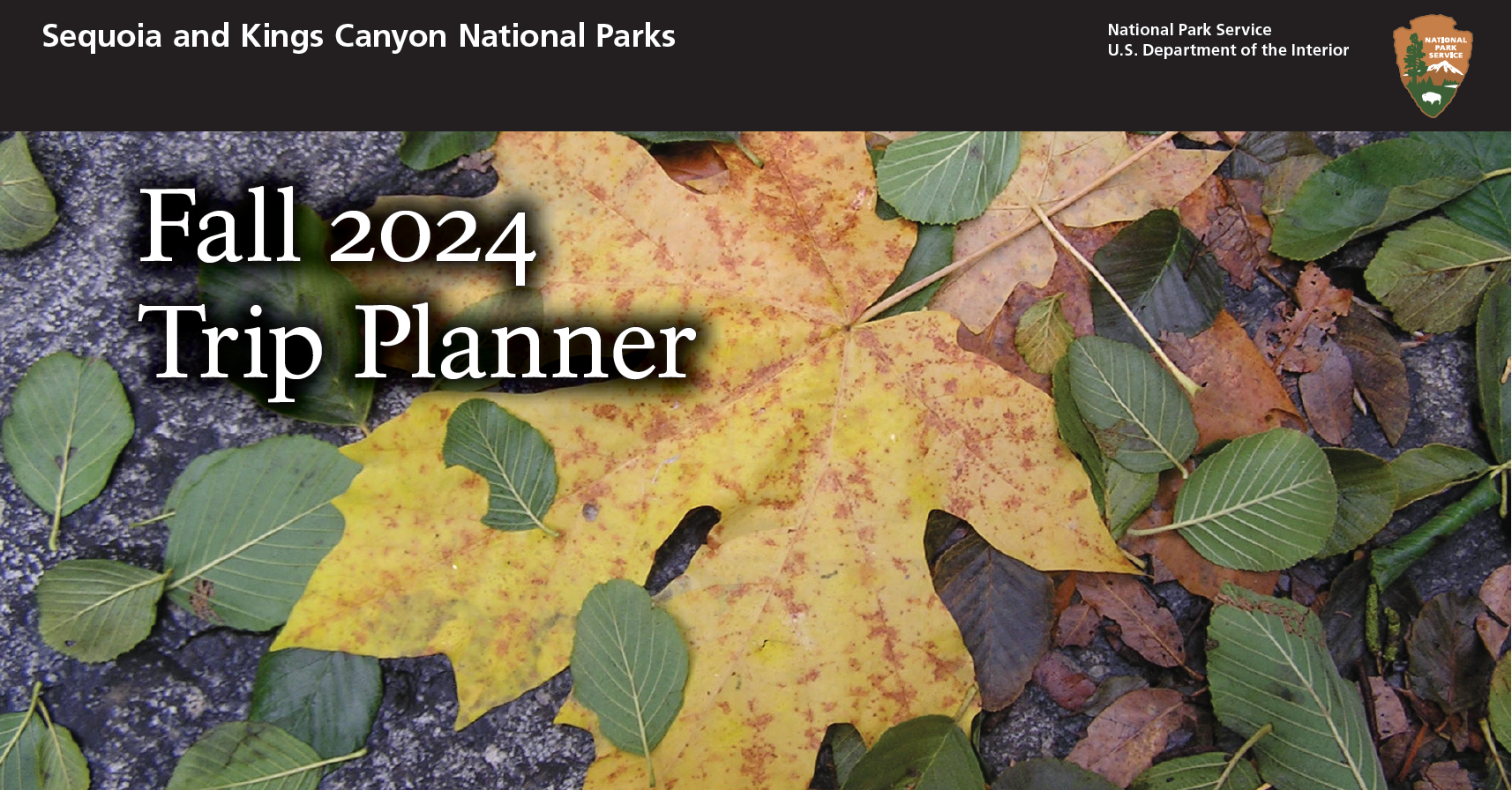 The words Fall 2024 Trip Planner are overlaid on an image of a large yellowed leaf on the ground with some small green leaves scattered around it.