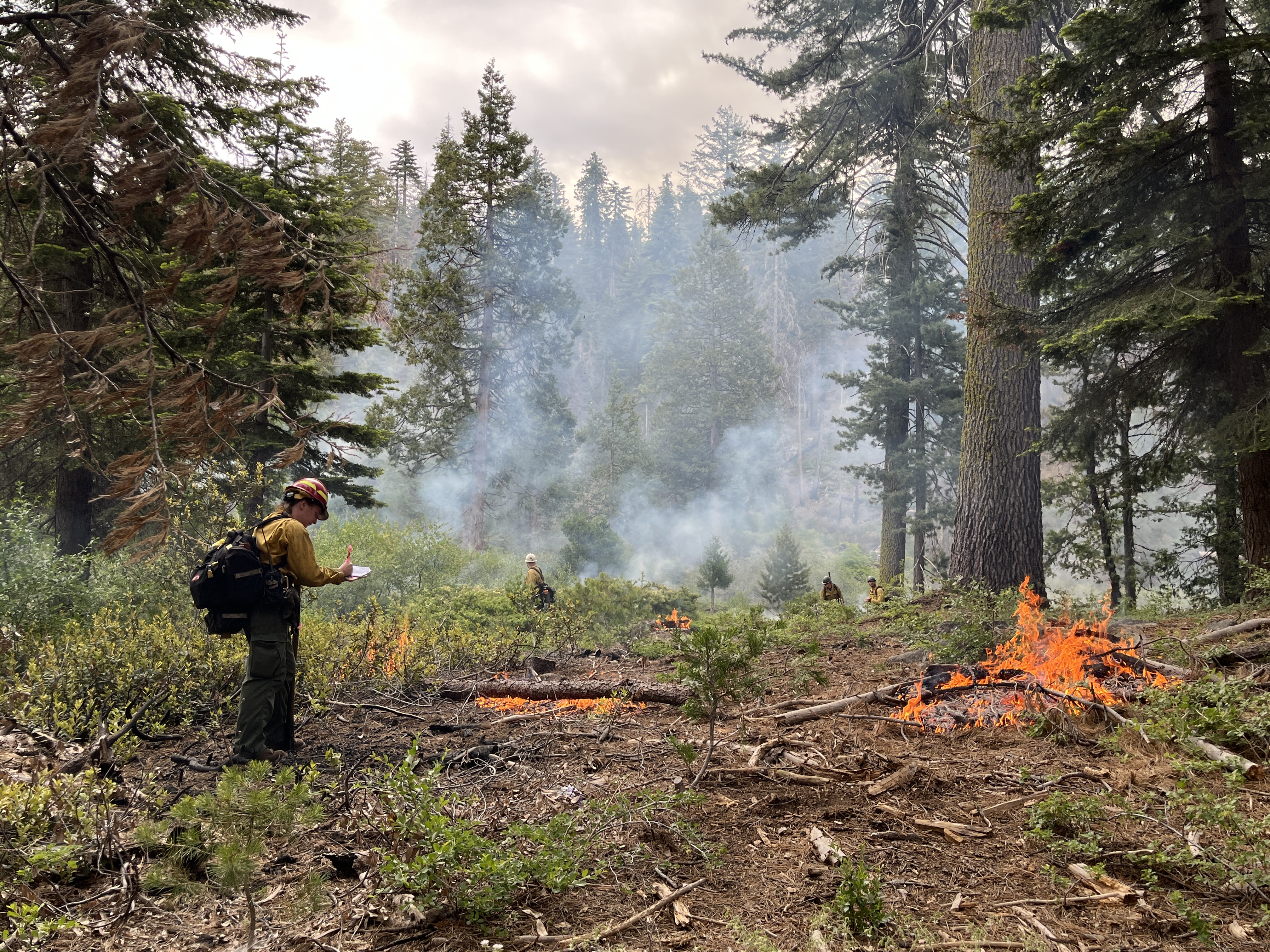 Firefighters work on a prescribed burn in Kings Canyon National Park