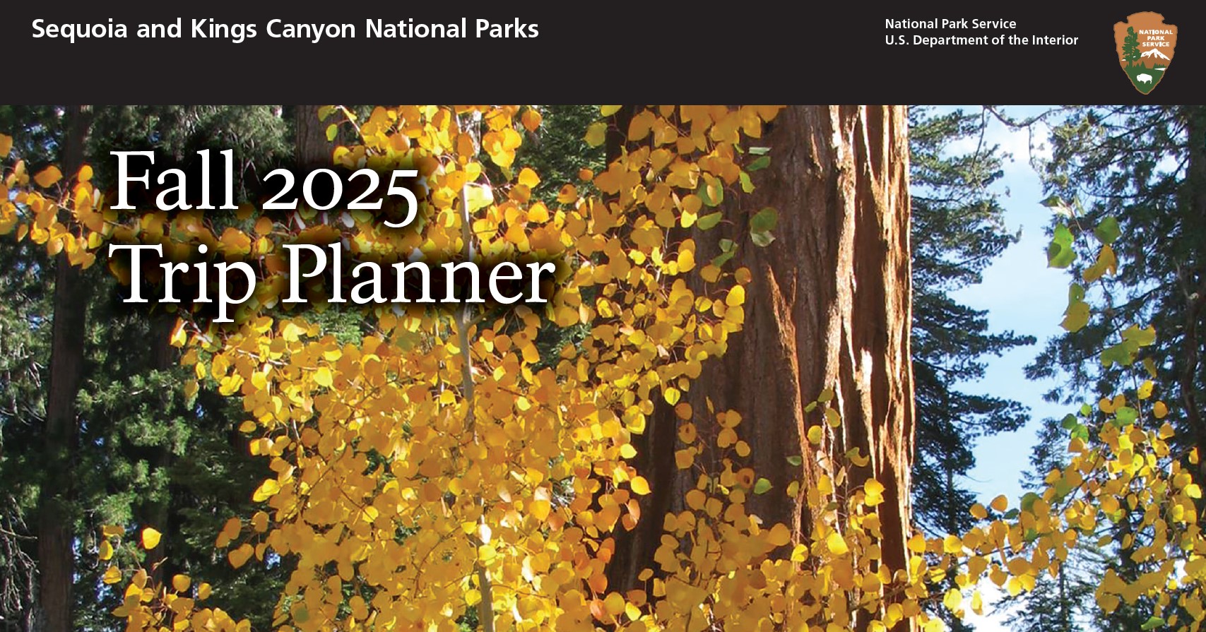 The words "Fall 2025 Trip Planner" are overlaid on an image of an aspen tree covered in bright yellow leaves in front of a wide sequoia trunk and pine trees in the background.