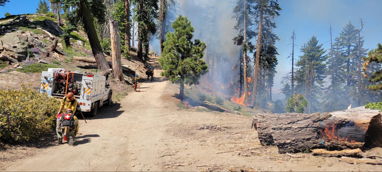 Firefighters monitor the progress of the Park Ridge Prescribed Burn in Kings Canyon National Park.