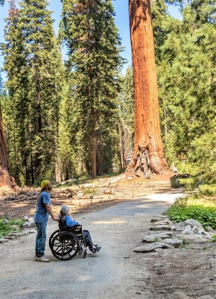 Photo of two Hikers on an accessible trail in Sequoia National Park using a wheelchair with a giant sequoia in the background.