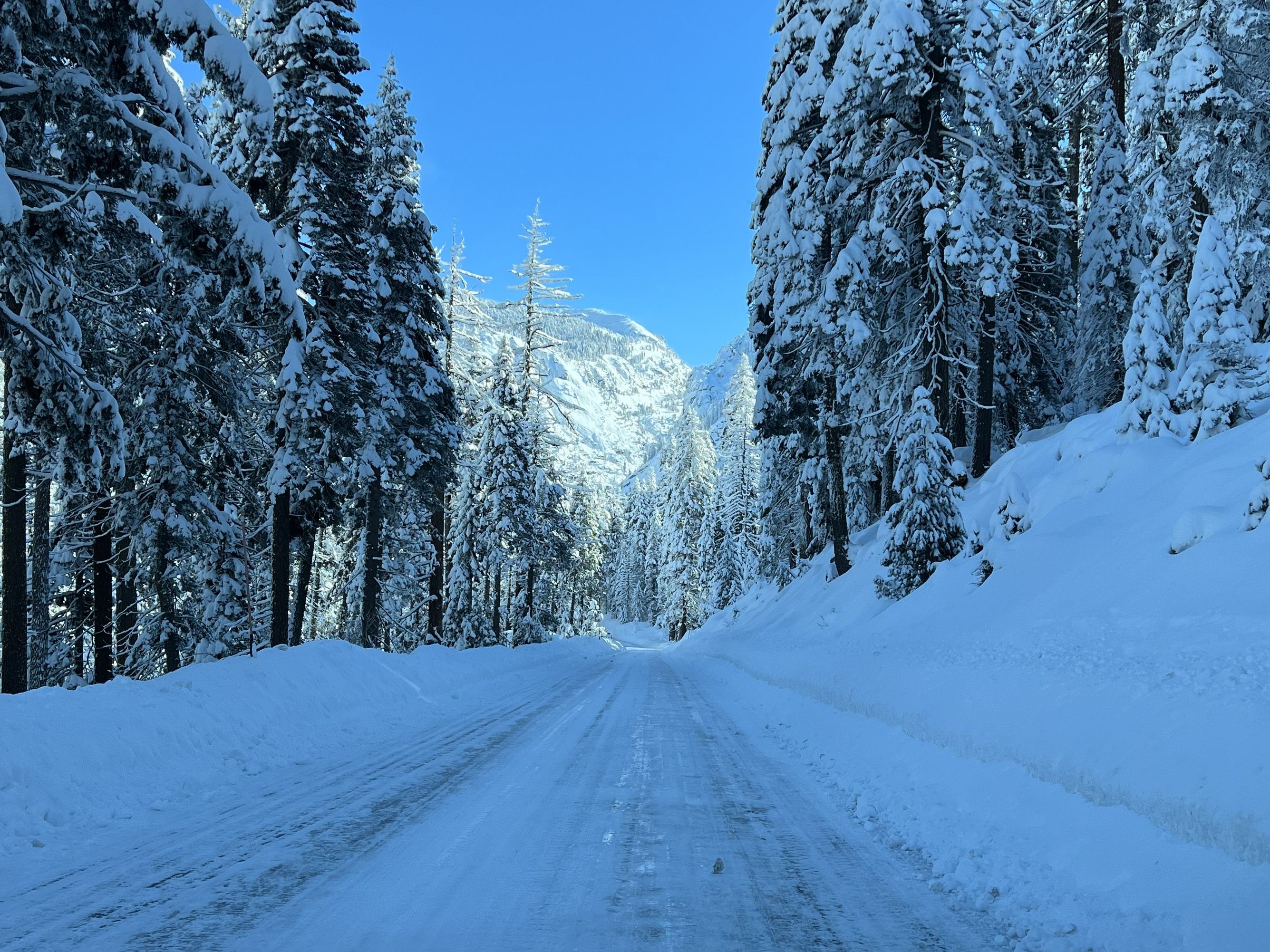 Snow and ice road conditions in Sequoia and Kings Canyon during a winter storm in February 2024.