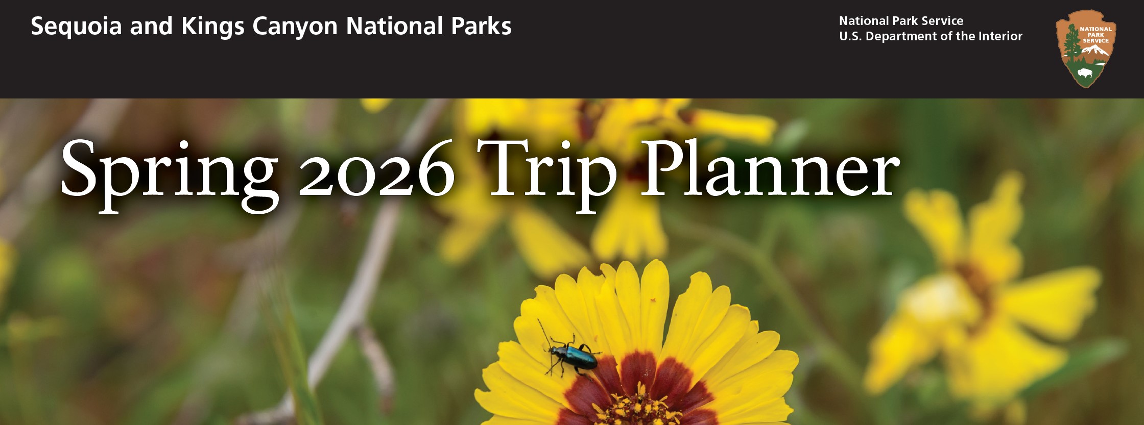 The words "Spring 2026 Trip Planner" is overlaid on an image with the top half of a flower with petals that are maroon near the center and bright yellow at the tip. A dark-colored beetle is on the flower. The background is out of focus plants.