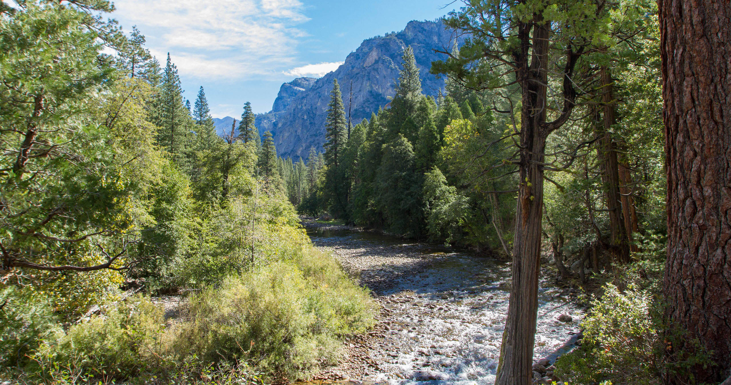 A bend in the South Fork of the Kings River winds through the forest.