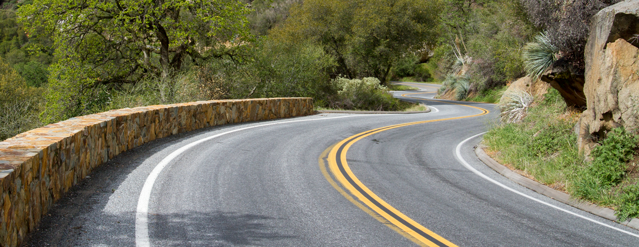 A paved road curves through an open forest from the foreground to the background . The section of road in the foreground features a low rock wall as a guardrail.