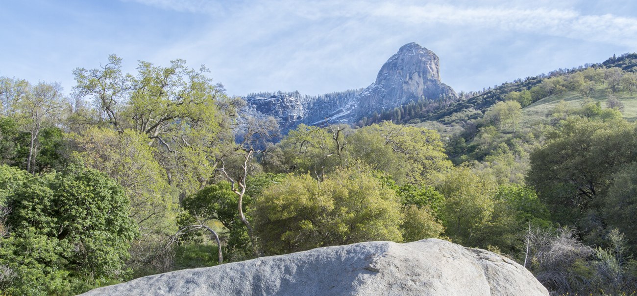 Rolling green hills with snowcapped mountains in the background.